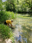 Отдел радиационной и химической биологии произвел отбор проб компонентов экосистемы реки Черная