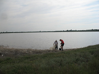 Засуха повышает соленость в озерах Крыма