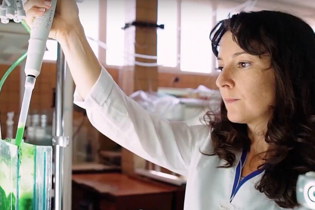 Впервые для юга России: В Севастополе разработают технологию промышленного производства хлореллы