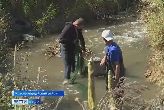 Ученые из Херсонской области и Севастополя изучают экосистему крымской реки
