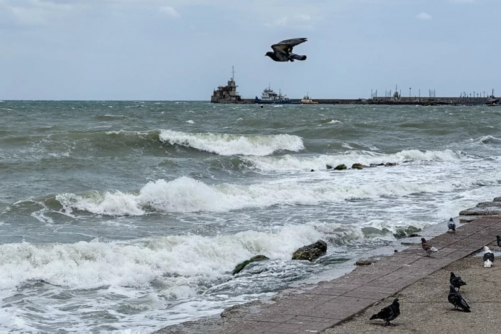 Вода «живая» и «мёртвая». В Чёрном море уменьшается кислородный слой