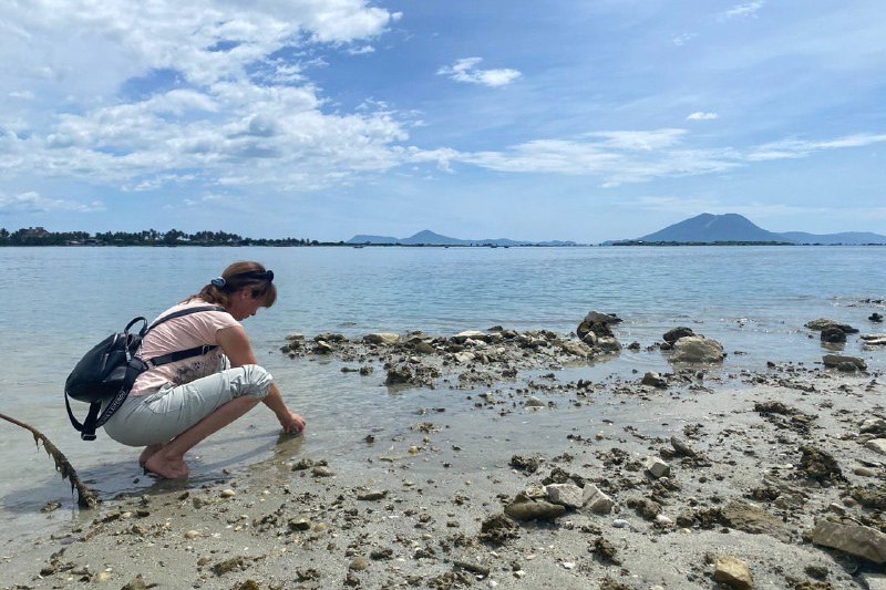 Учёные ФИЦ ИнБЮМ провели комплексные исследования биоразнообразия планктонных и бентосных сообществ центральных и южных вод Вьетнама 