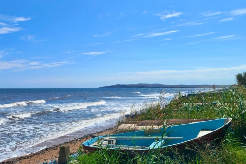 Ученые оценили уровень загрязнения углеводородами юго-западного побережья Азовского моря