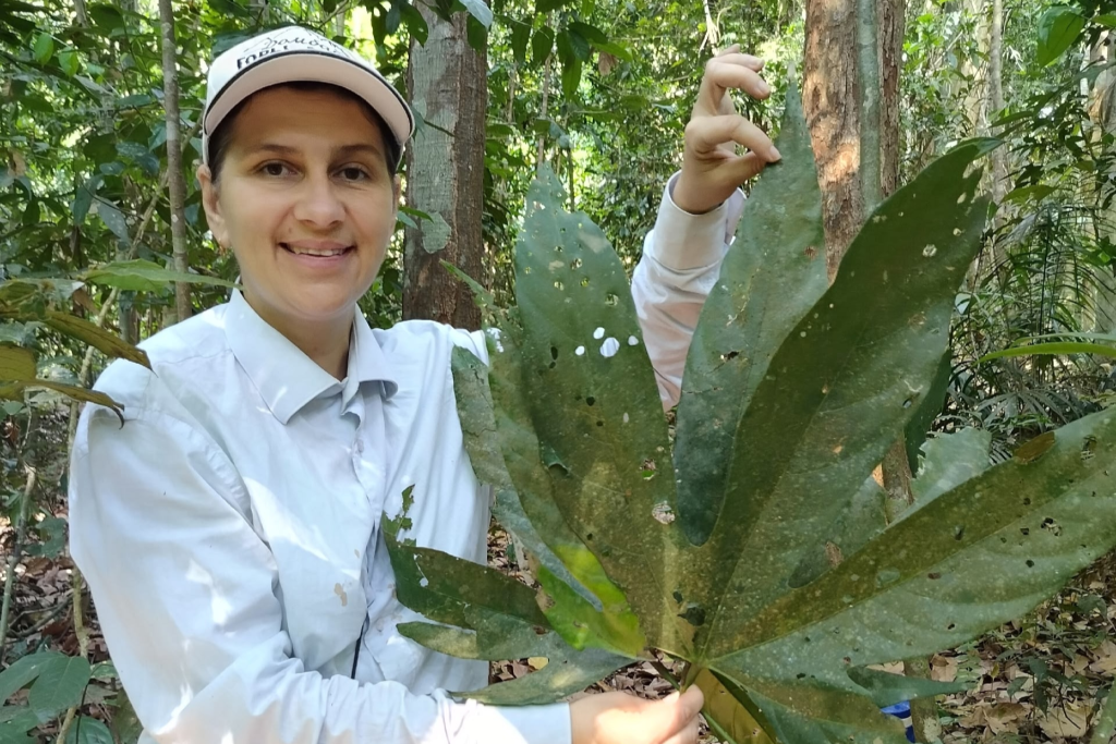 Учёные лаборатории ландшафтной экологии и геоматики проводят исследования на юге Вьетнама