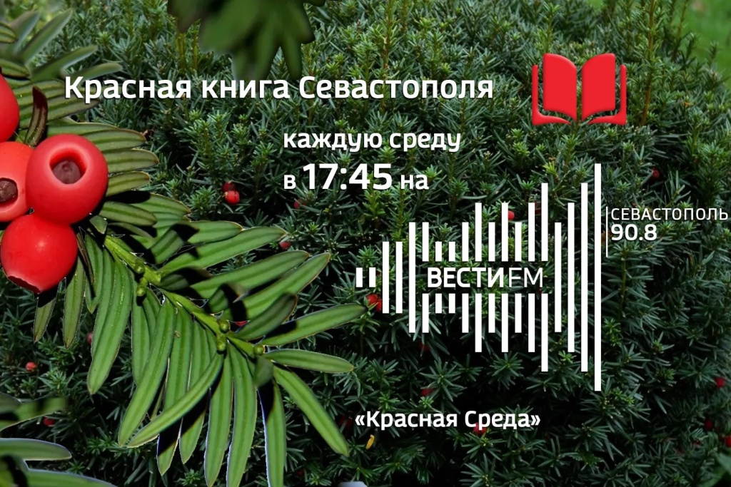 «Красная среда» – совместный проект ГТРК «Севастополь» и учёных ФИЦ ИнБЮМ