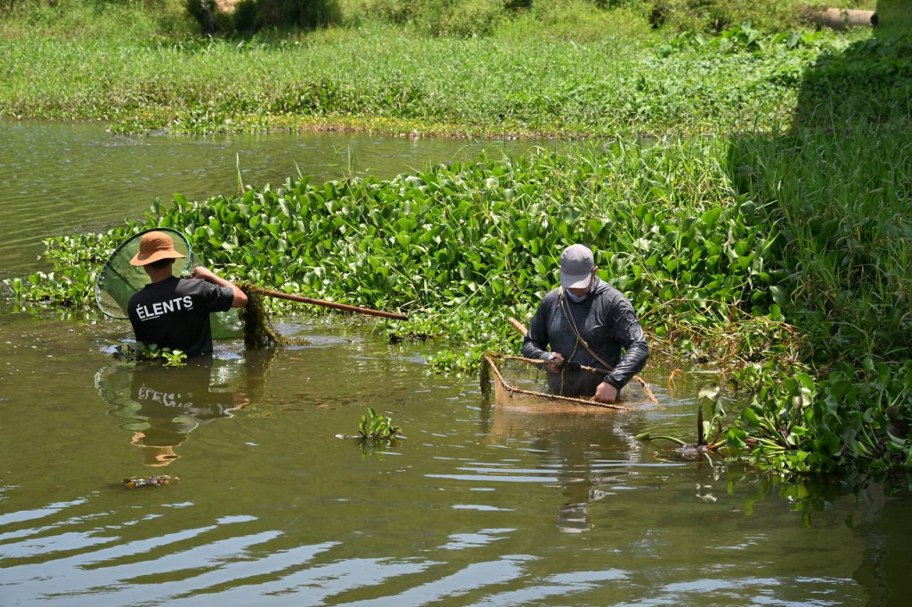 Vietnam: Sevastopol Scientists Uncover New Data on the Aquatic Fauna of the Dong Nai River 