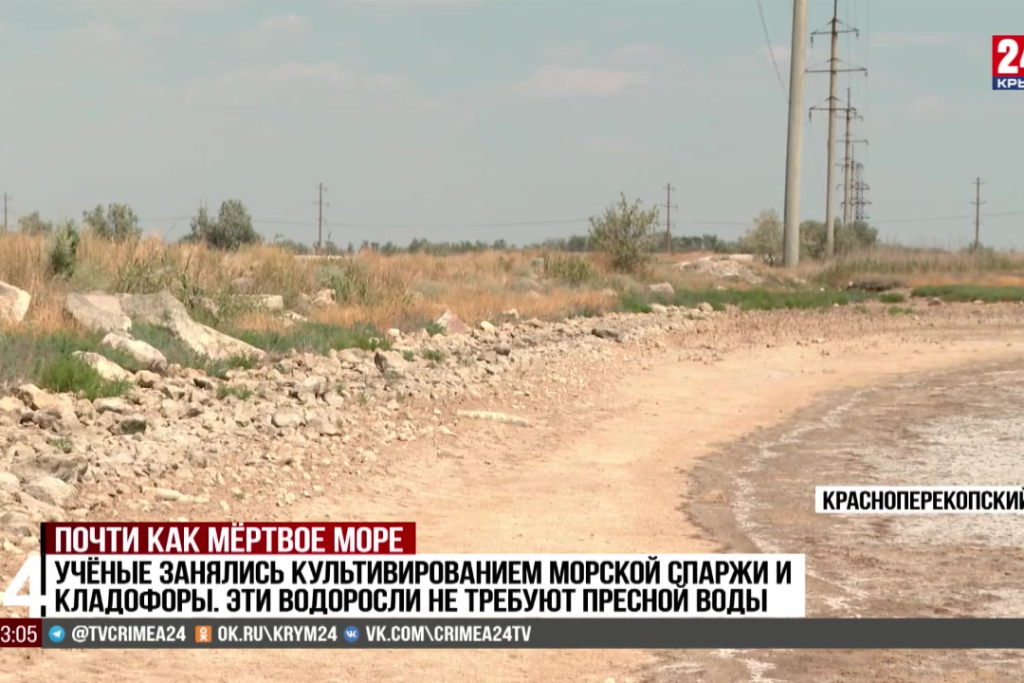 Учёные зафиксировали усыхание гиперсолёных озёр Крыма