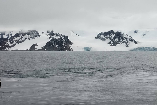 Учёные ФИЦ ИнБЮМ, побывавшие в Антарктике, выявили не регистрируемые ранее данные о пиках биолюминесценции