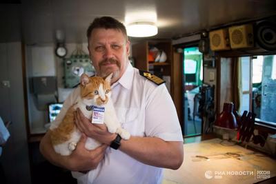 Кот Мостик узнал о жизни ученых на борту научно-исследовательского судна