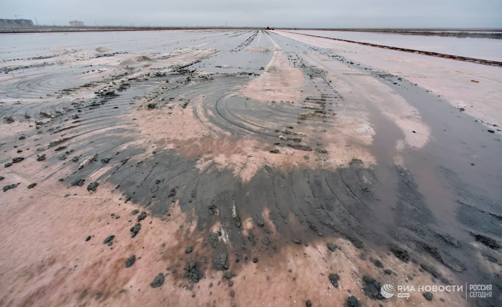 В уникальном озере Сасык-Сиваш из-за шторма снизилась соленость