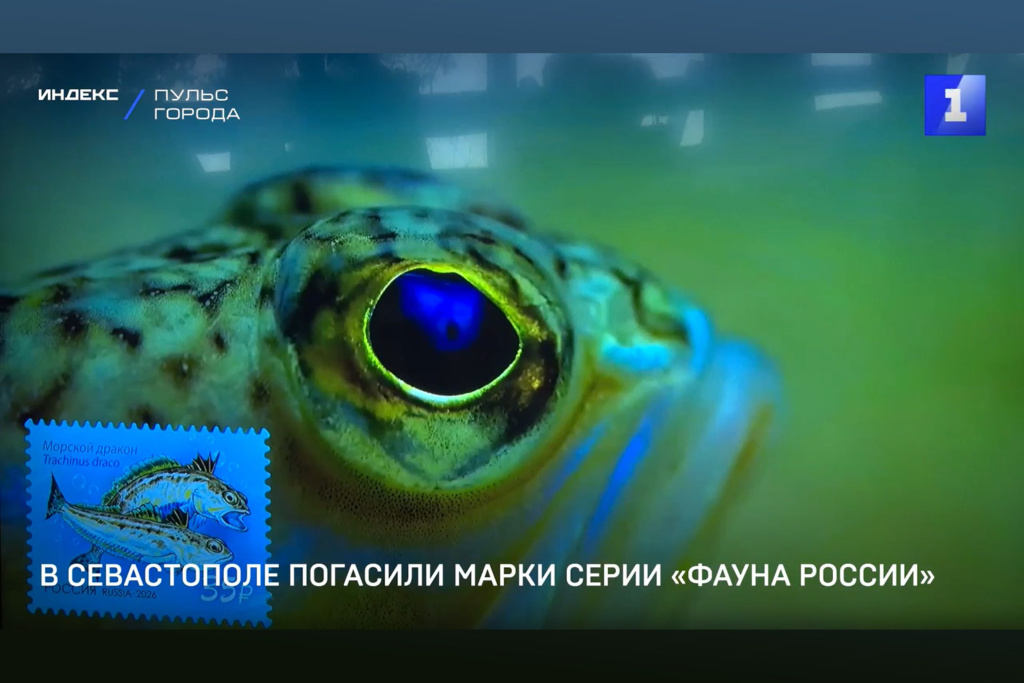 В Севастополе погасили марки серии «Фауна России»