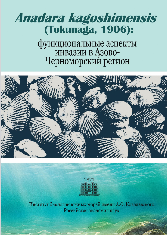 Anadara kagoshimensis (Tokunaga, 1906): функциональные аспекты инвазии в Азово-Черноморский регион