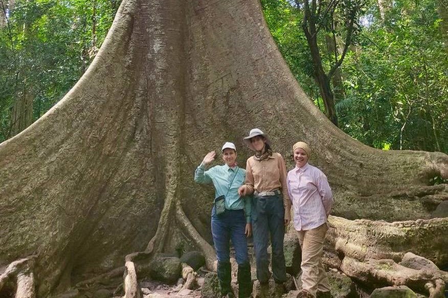 Учёные ФИЦ ИнБЮМ провели ландшафтно-экологические исследования в национальном парке Кат Тьен