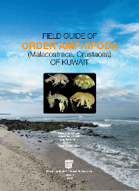 Al-Yamani F. Y., Al-Kandari M., Polikarpov I., Grintsov V. Field Guide of Order Amphipoda (Malacostraca, Crustacea) of Kuwait. - Kuwait : Kuwait Institute for Scientific Research, 2019. - 384 p.