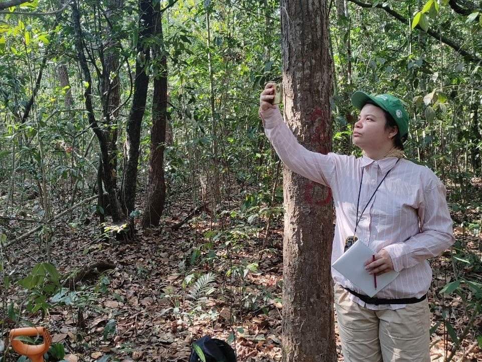 Каширина 3.png