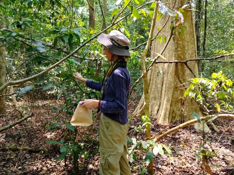 _Вьетнам 2.jpg