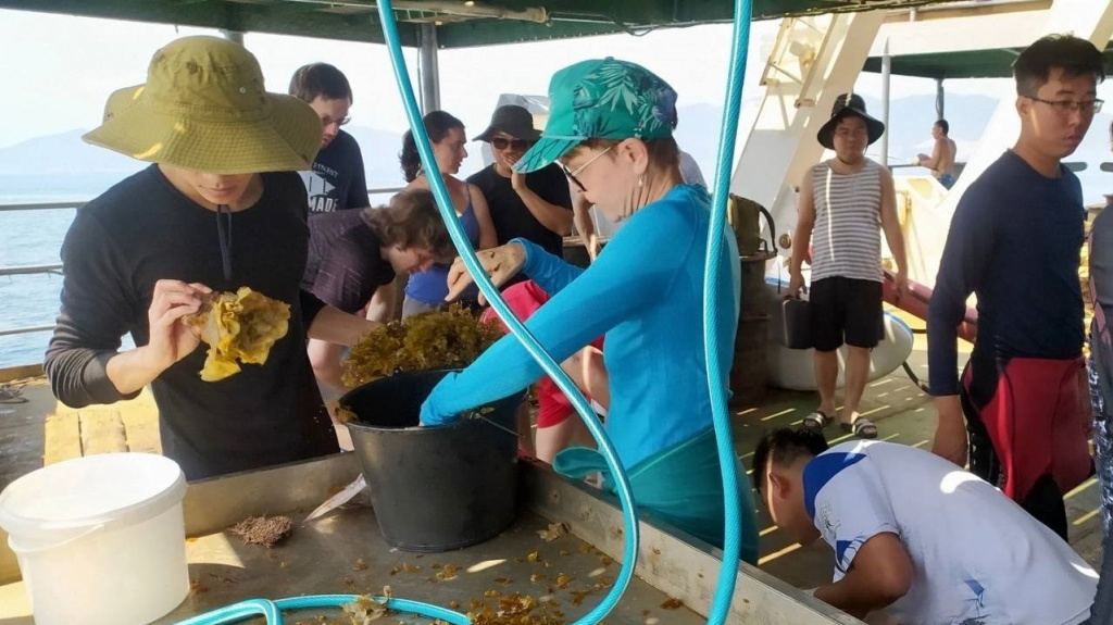 6.Учёные ФИЦ ИнБЮМ исследовали экологию коралловых атоллов у берегов Вьетнама