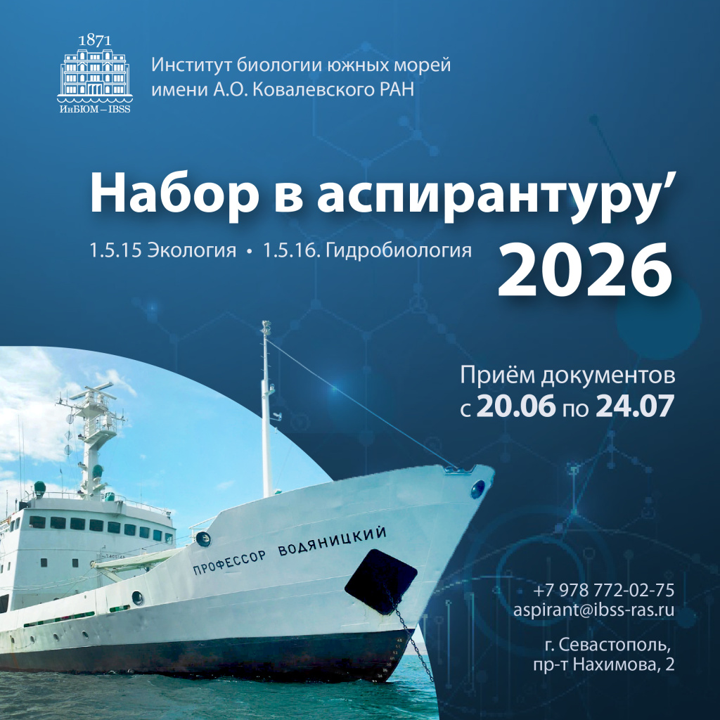Аспирантура_Монтажная область 1.jpg