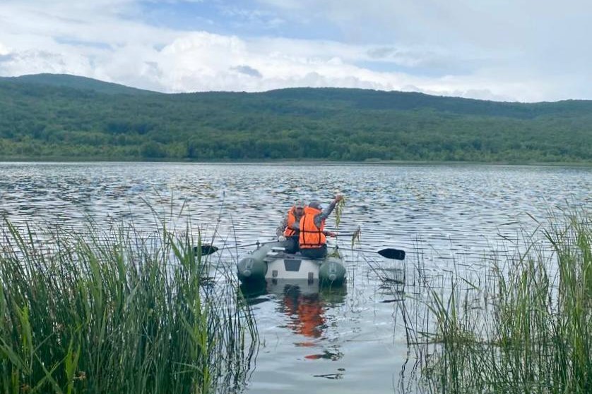 2.Учёные ФИЦ ИнБЮМ оценят загрязнение прудов Севастополя по состоянию водной растительности