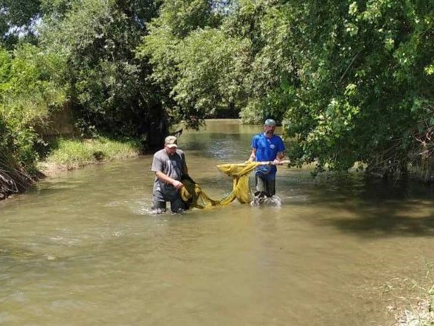 2.Учёные Севастополя и Херсона впервые совместно исследуют экологическое состояние реки Салгир