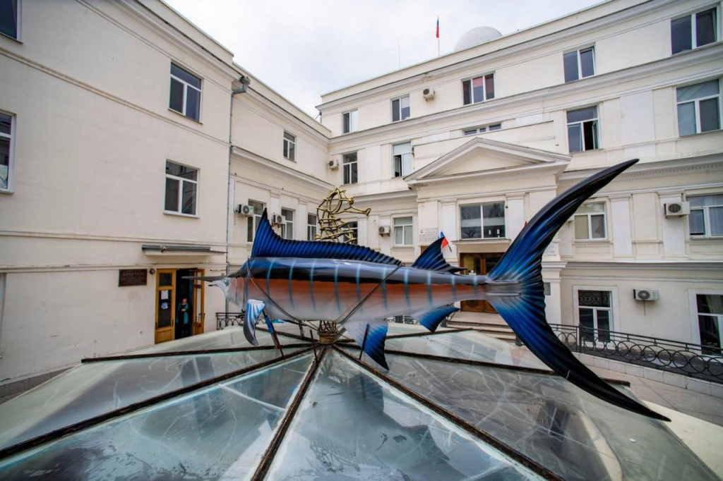 Минобрнауки РФ согласовало проведение торгов для заключения договора аренды помещений аквариума
