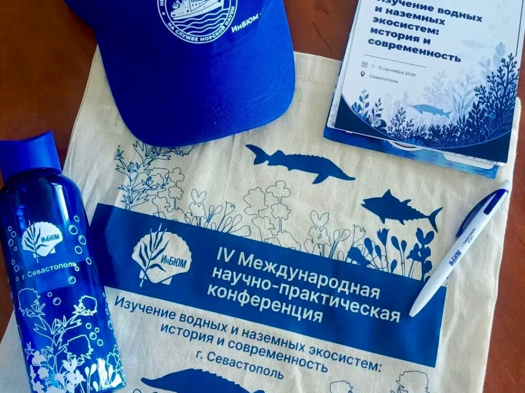 Конференция день 1 5.png