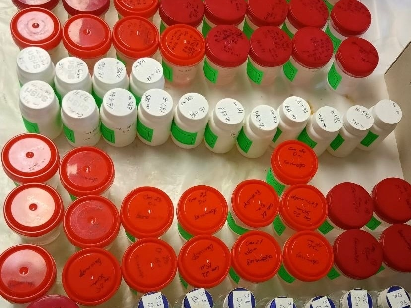 Антарктида 3.png