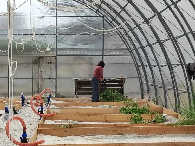 Субботник 22.png