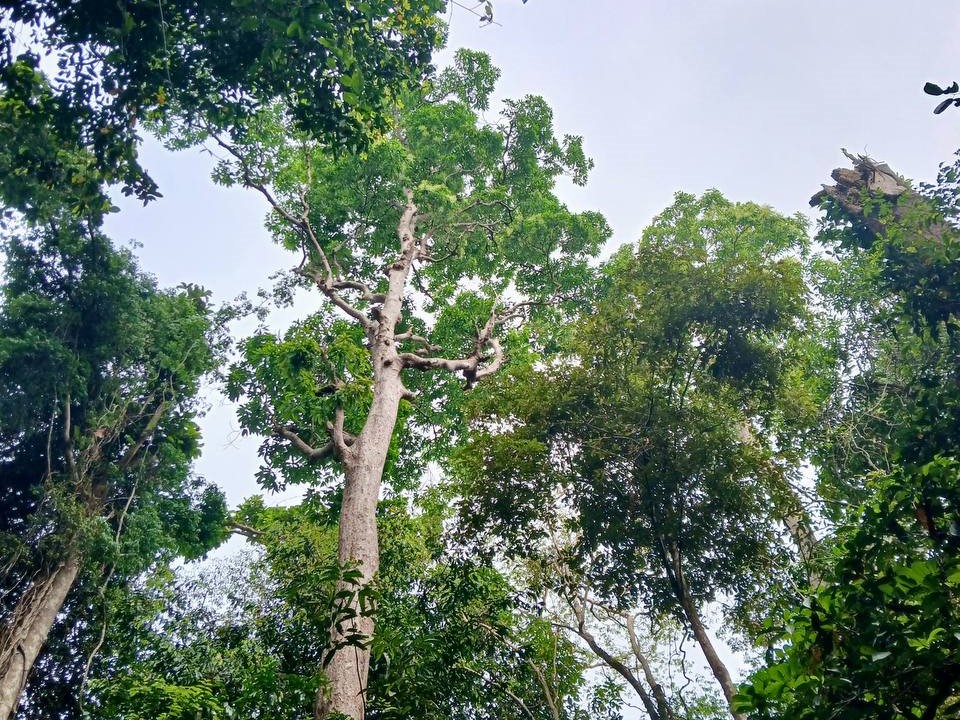 _Вьетнам 5.jpg