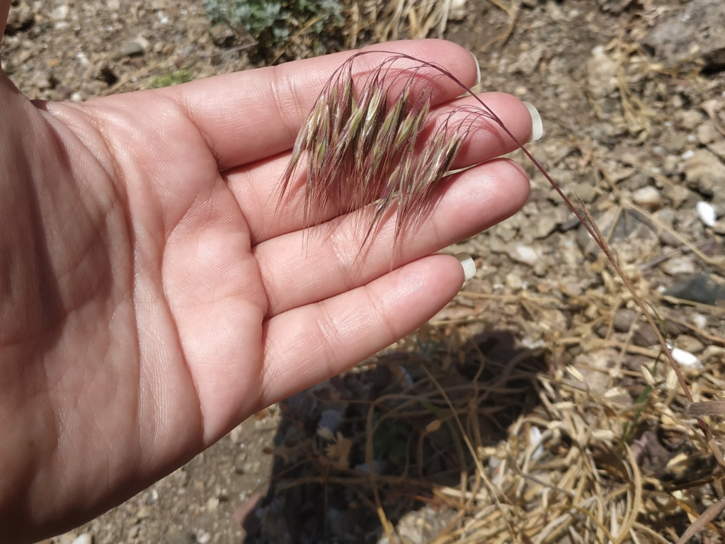 Каширина 2.jpg