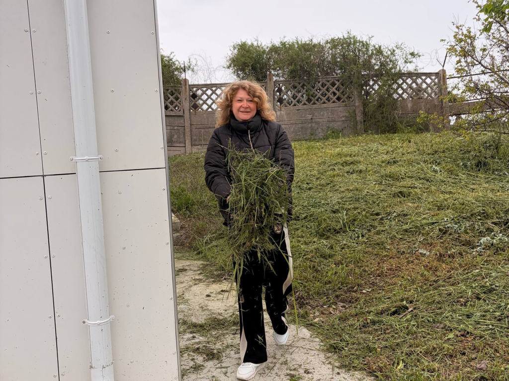 Субботник 15.png