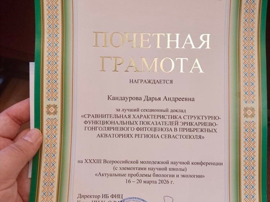 Молодежная конфа 6.png