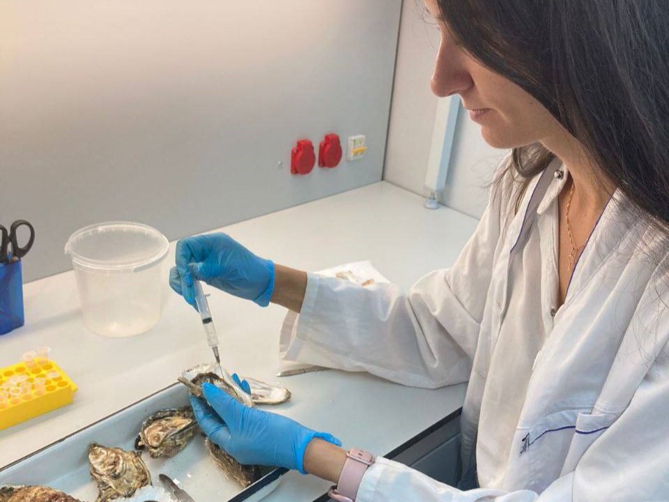 _Спирулина устрицам 5.jpg