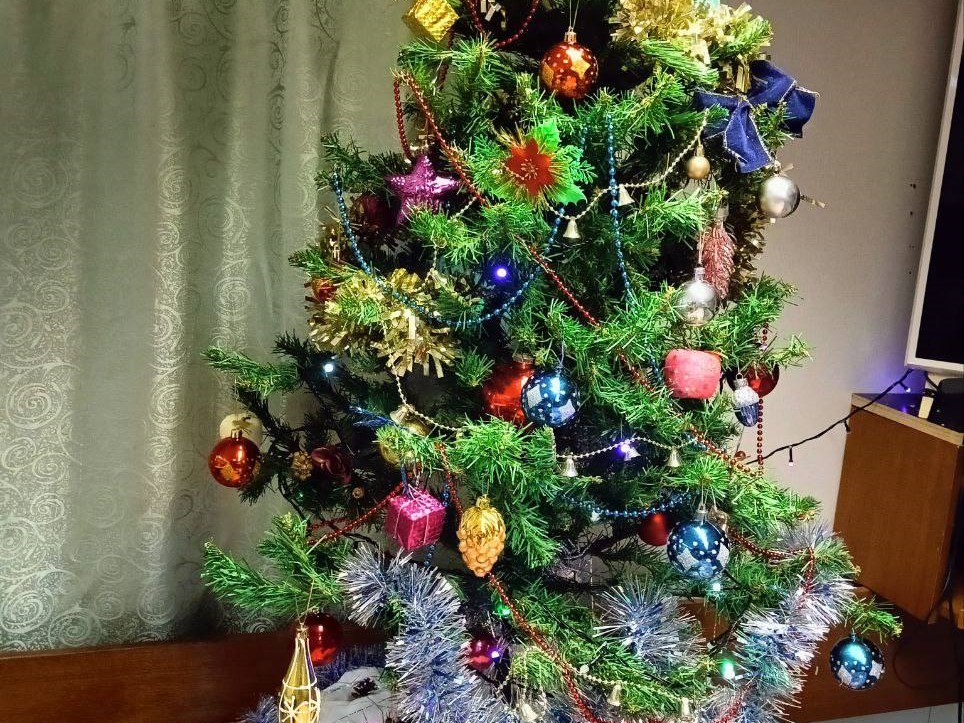 21-Новый год в Антарктике: Михаил Силаков встречает праздник в составе РАЭ