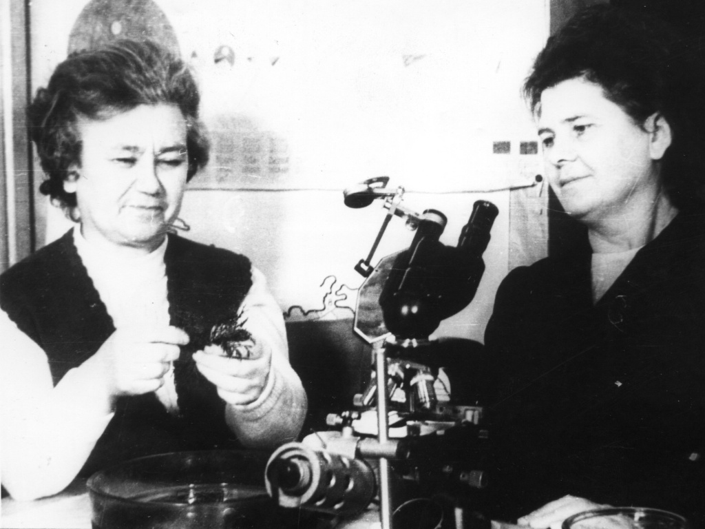 Куликова-кал-Гутник.jpg