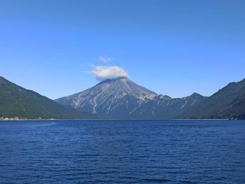 Соловьёва грант 1.png