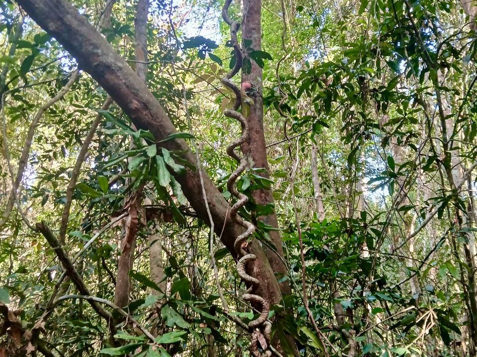 _Вьетнам 3.jpg