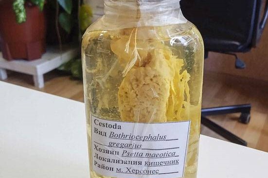 6-.jpg
