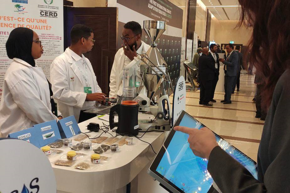 Джибути 6.png