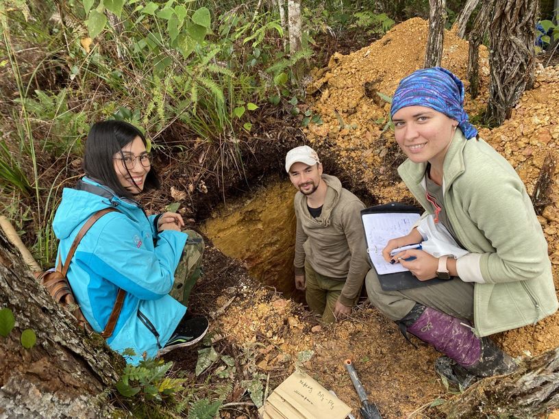 Почвенный разрез, национальный парк Бидуп Нуй Ба