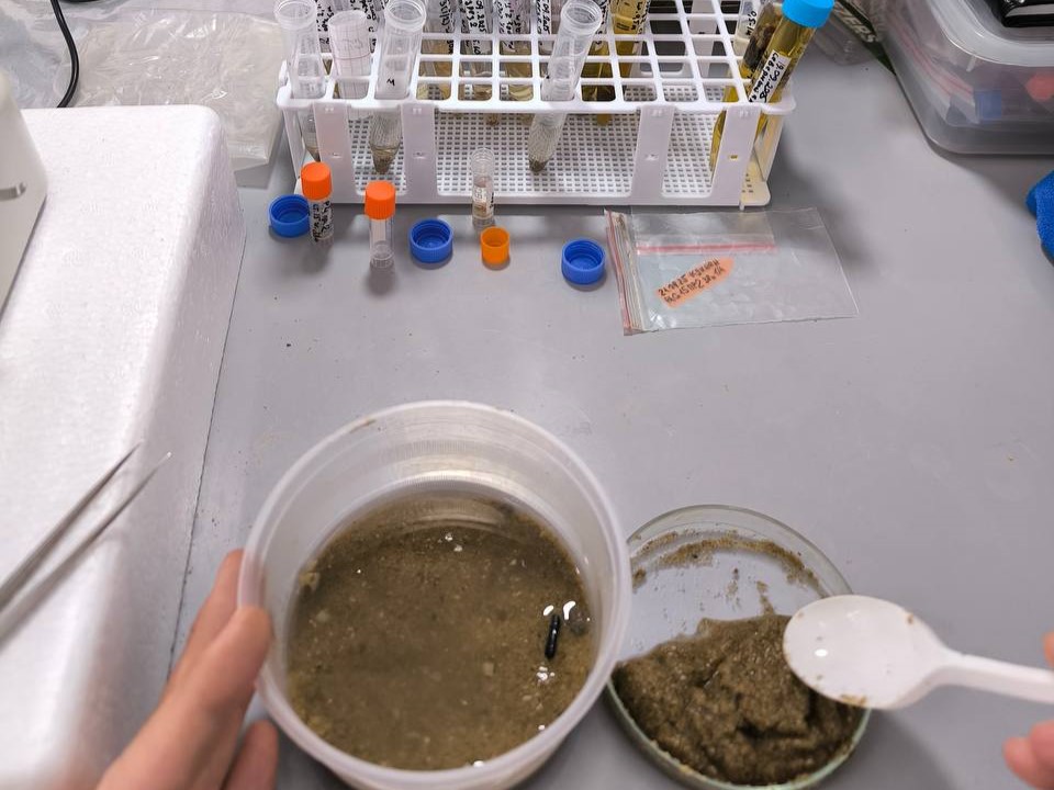 Вьетнам - биоразнообразие 9.jpg