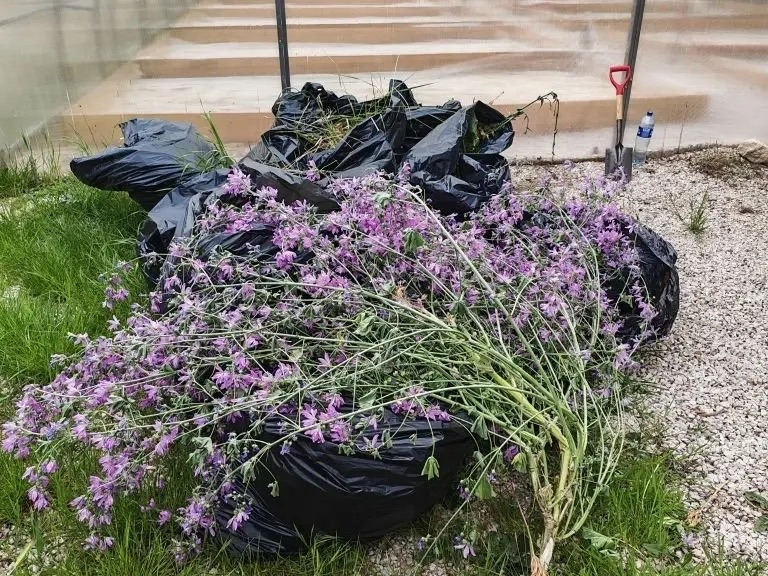 Субботник 25.png