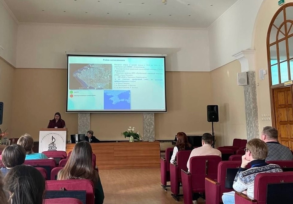 Молодежная конфа 4.png