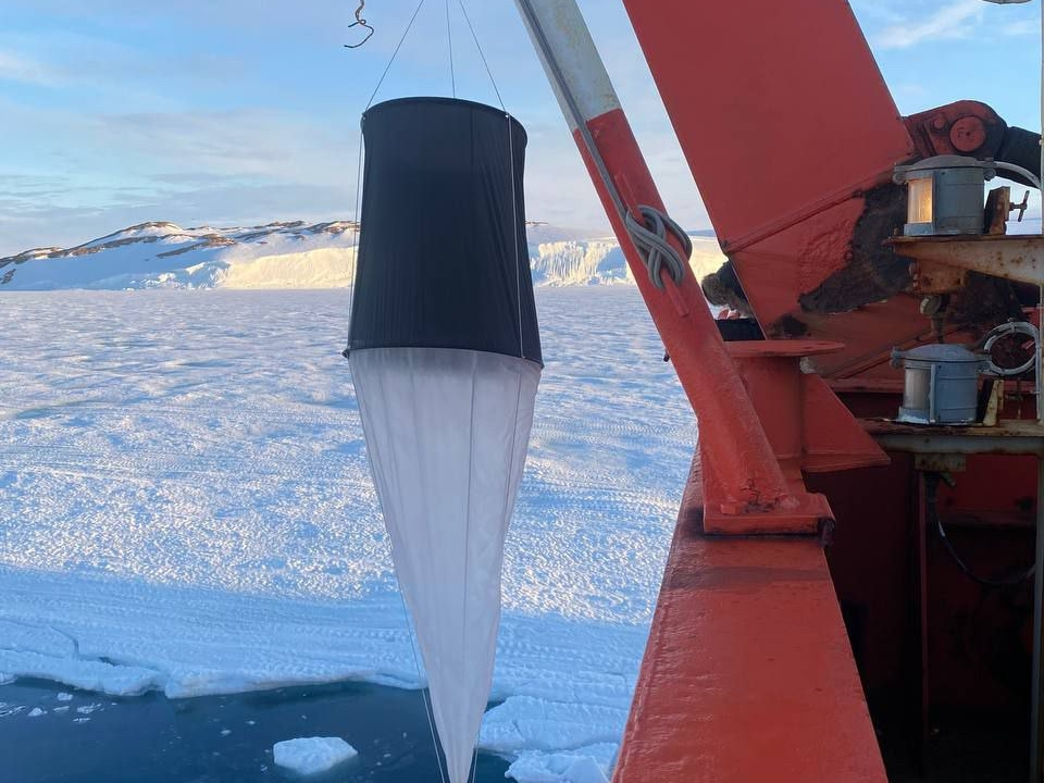 Антарктида 12.png