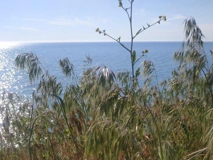 Каширина 3.jpg