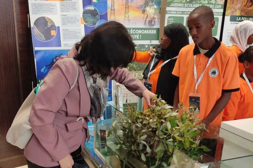 Джибути 7.jpg