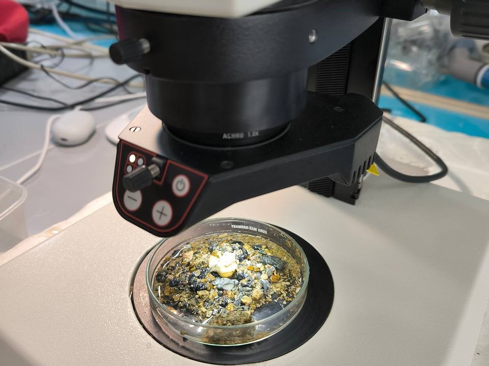 Вьетнам - биоразнообразие 11.jpg