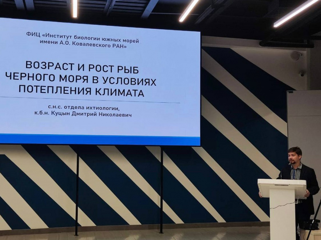 3.Учёные ФИЦ ИнБЮМ выступили на всероссийской конференции, посвящённой морским научным исследованиям России