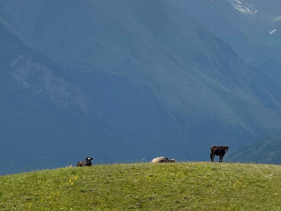 _Дагестан завершение 10.jpg