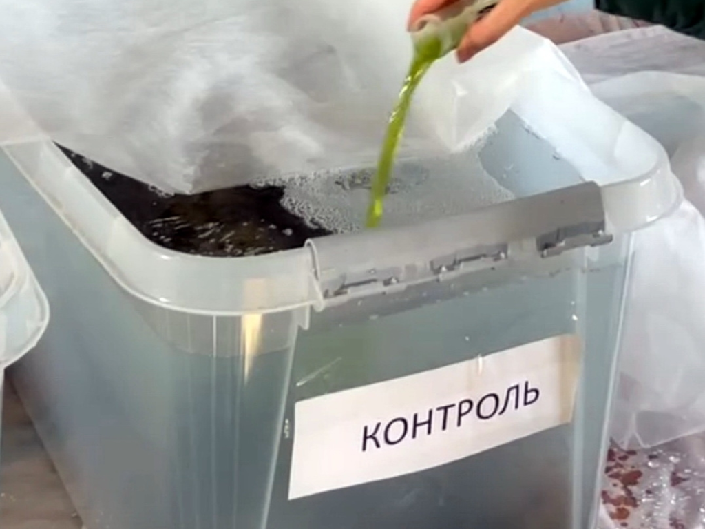 Кухарева астаксантин 4.png